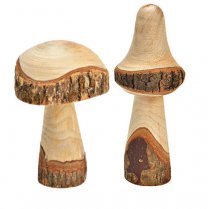 Setje STOERE Houten paddenstoelen met NATUREL Hoedje ( 14 en 17cm) ( augustus weer leverbaar)