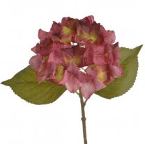 Hortensia bloem Oud-roze, 36cm